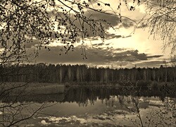 Szary + Sepia
