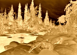 Sepia + Negatyw