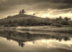 Szary + Sepia