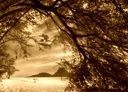 Sepia