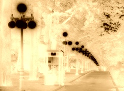 Sepia + Negatyw