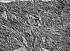 Skamielina