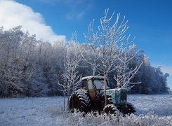 Oryginalny obrazek