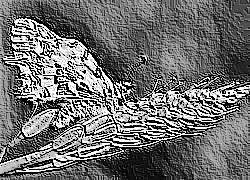 Skamielina