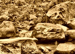 Sepia