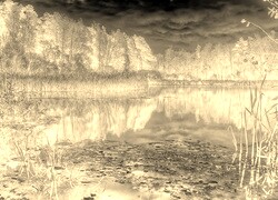 Sepia + Negatyw