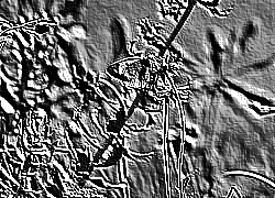 Skamielina