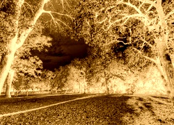 Sepia + Negatyw