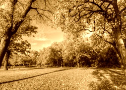 Sepia