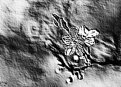 Skamielina