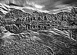 Skamielina
