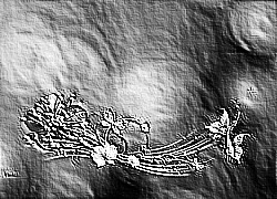 Skamielina