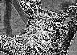 Skamielina