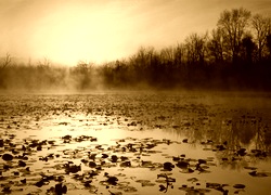 Sepia
