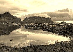 Szary + Sepia