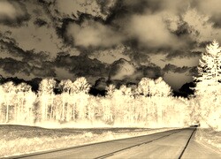Sepia + Negatyw