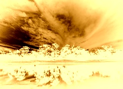 Sepia + Negatyw