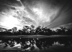 Szary + Sepia