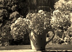Szary + Sepia