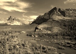 Szary + Sepia
