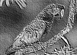 Skamielina