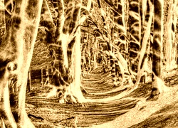 Sepia + Negatyw
