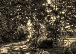 Sepia