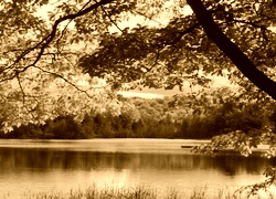 Sepia