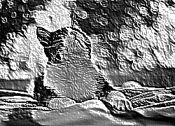 Skamielina