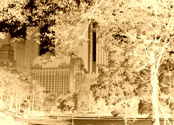 Sepia + Negatyw