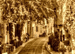 Sepia