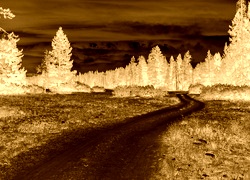Sepia + Negatyw