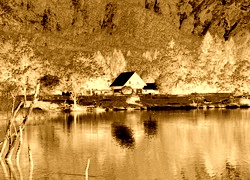 Sepia + Negatyw