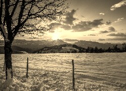 Szary + Sepia