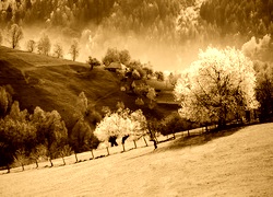 Sepia