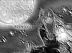 Skamielina