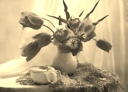 Szary + Sepia