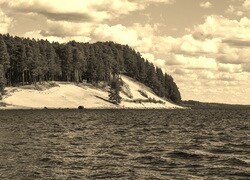 Szary + Sepia