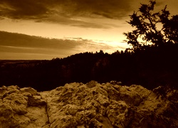 Sepia