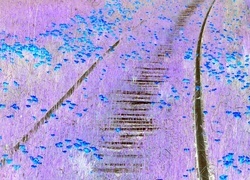 Negatyw