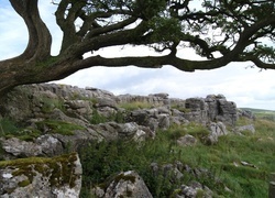 Oryginalny obrazek