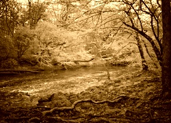 Sepia