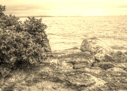 Szary + Sepia