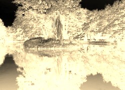 Sepia + Negatyw