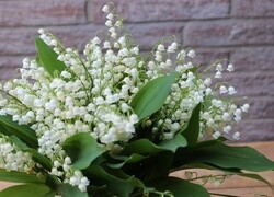 Oryginalny obrazek