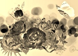Sepia + Negatyw