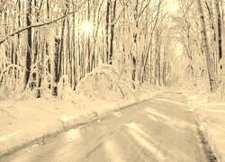 Sepia