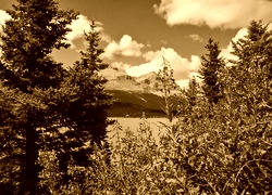 Sepia