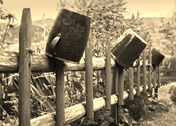 Szary + Sepia