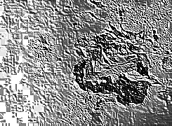 Skamielina